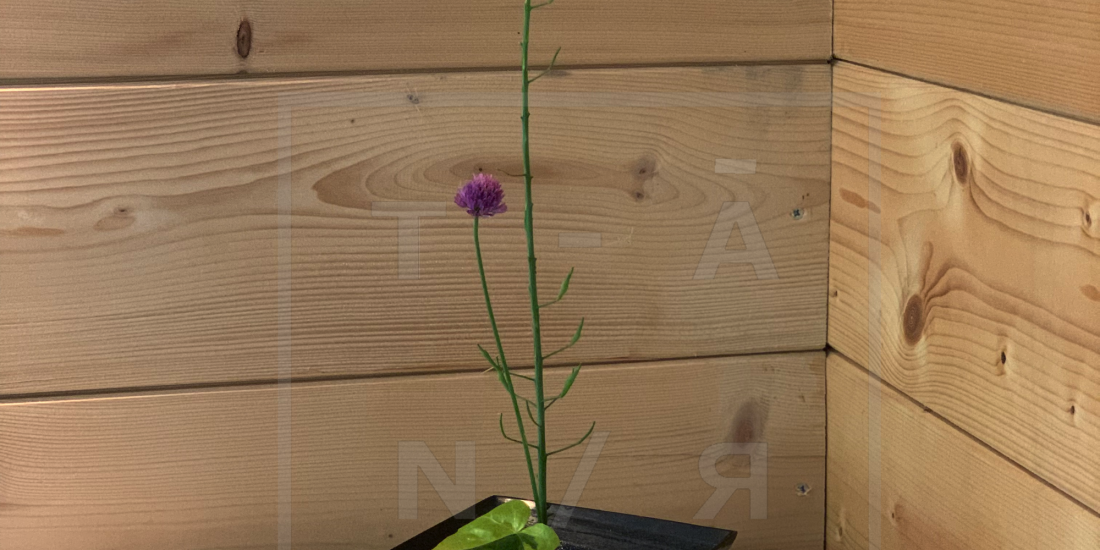 Ikebana 5